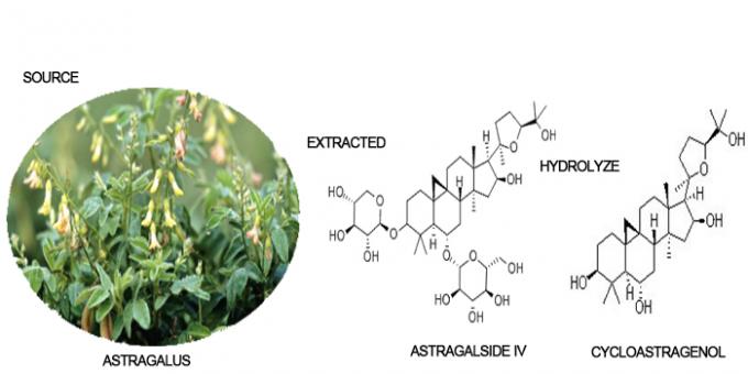 CAS 78574-94-4 Gıda Takviyesi Aktif Astragalus Kök Ekstresi 0