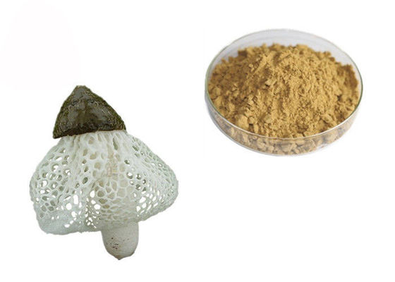 Çin Organik Dictyophora Indusiata Özü Tedarikçi