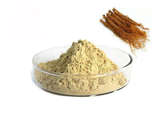 Çin % 10 Ginsenosidler Kırmızı Ginseng Ekstresi Tedarikçi