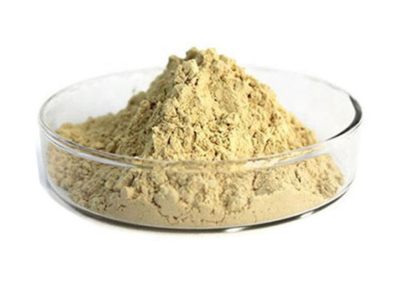 İlaç% 80 Panax Kökü Doğal Ginseng Ekstresi Tozu Tedarikçi