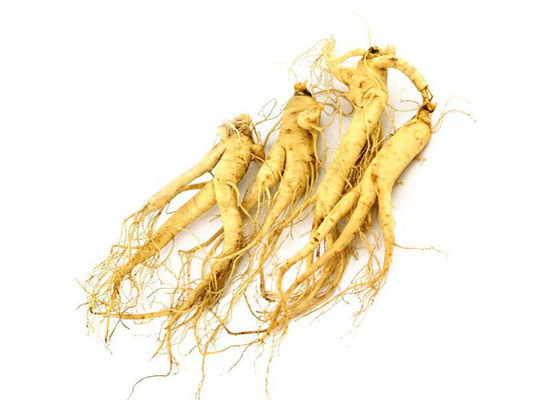 İlaç% 80 Panax Kökü Doğal Ginseng Ekstresi Tozu Tedarikçi