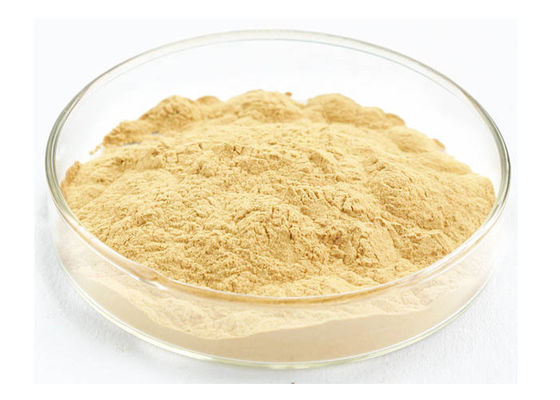 Sağlık Ürünleri İçin Gıda Sınıfı Panaxoside Ginseng Ekstresi Tozu Tedarikçi