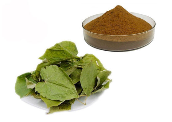 CAS 489-32-7 Azgın Keçi Otu Epimedium Bitkisel Özlü Toz Tedarikçi