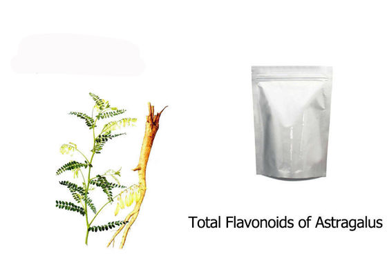 Kuru Astragalus Membranaceus Kök Ekstresi Tedarikçi