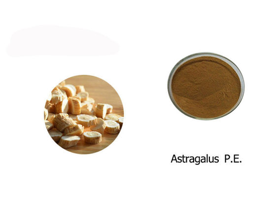 % 100 Astragalus Ekstresi Tozu Tedarikçi