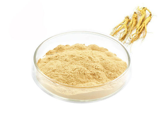 Sağlık Ürünleri İçin Gıda Sınıfı Panaxoside Ginseng Ekstresi Tozu Tedarikçi