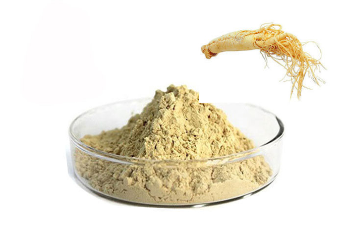 CAS 90045-38-8% 80 Ginsenosidler Saf Bitkisel Ginseng Kökü Tozu 0