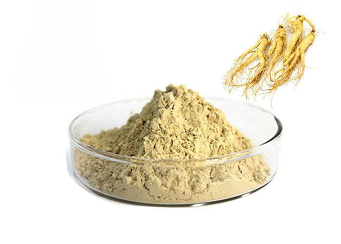 İlaç% 80 Panax Kökü Doğal Ginseng Ekstresi Tozu 0